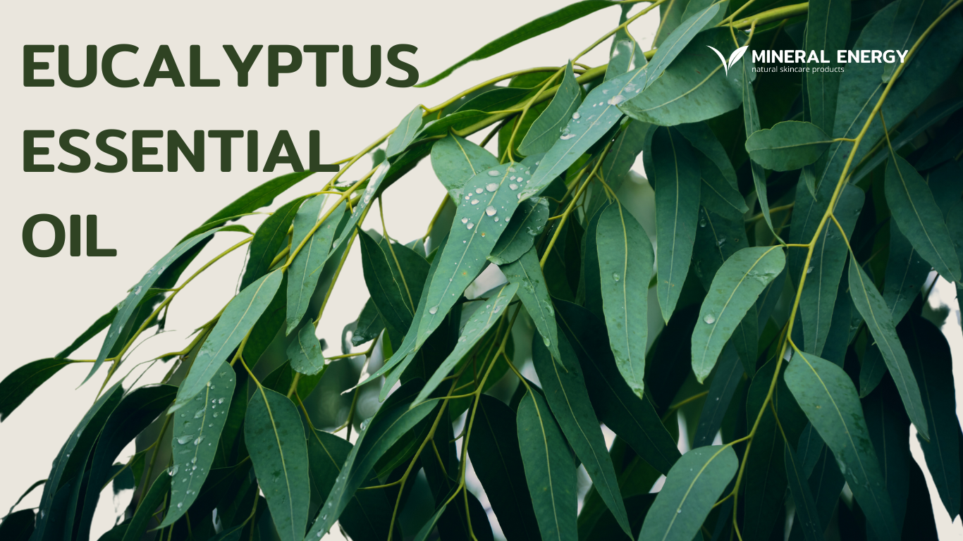 Surprising Health Benefits Of Eucalyptus Essential Oil Mineral